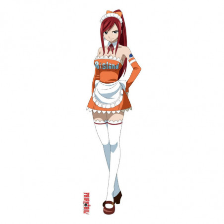 Fairy Tail housse de coussin Dakimakura Erza Scarlet Sakami - 3